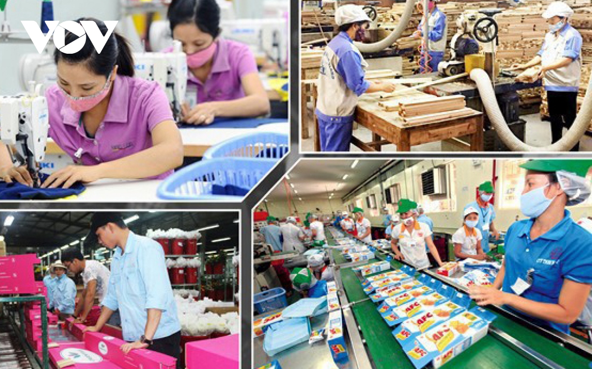 Bức tranh kinh tế Việt Nam 6 tháng đầu năm 2024 khởi sắc